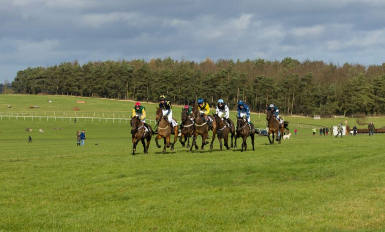 horseheath racecourse