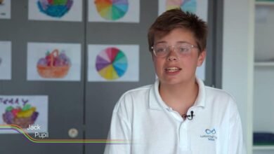 luxborough court school