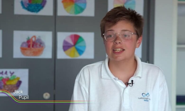 luxborough court school